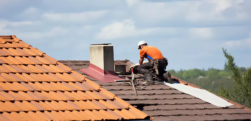 Cedar Roof Maintenance in Wheaton