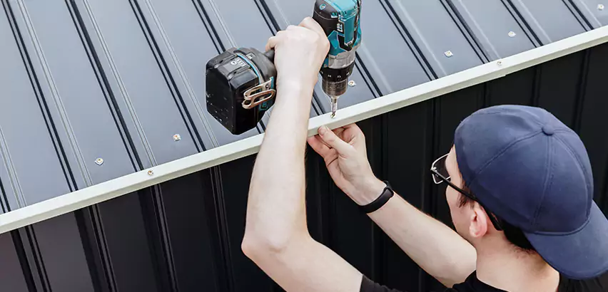 Tin Shed Roof Repair in Wheaton