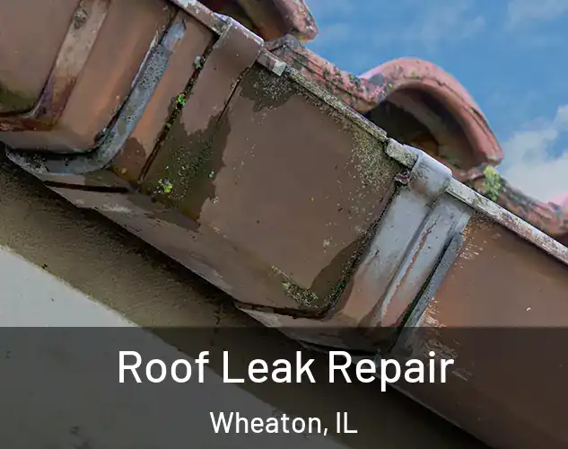  Roof Leak Repair Wheaton, IL