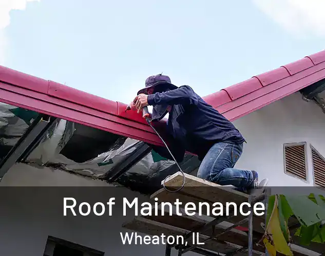  Roof Maintenance Wheaton, IL