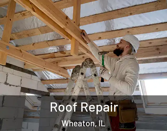  Roof Repair Wheaton, IL